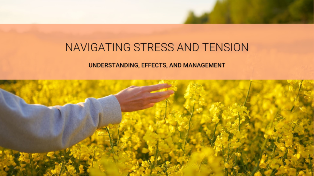 Content image for Navigating the Stress of Finding the Right Property: Our Story of Understanding Your Challenges.