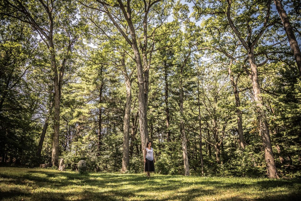 Content image for Preserving Solitude in Your Exclusive Enclave? Privacy Solutions.