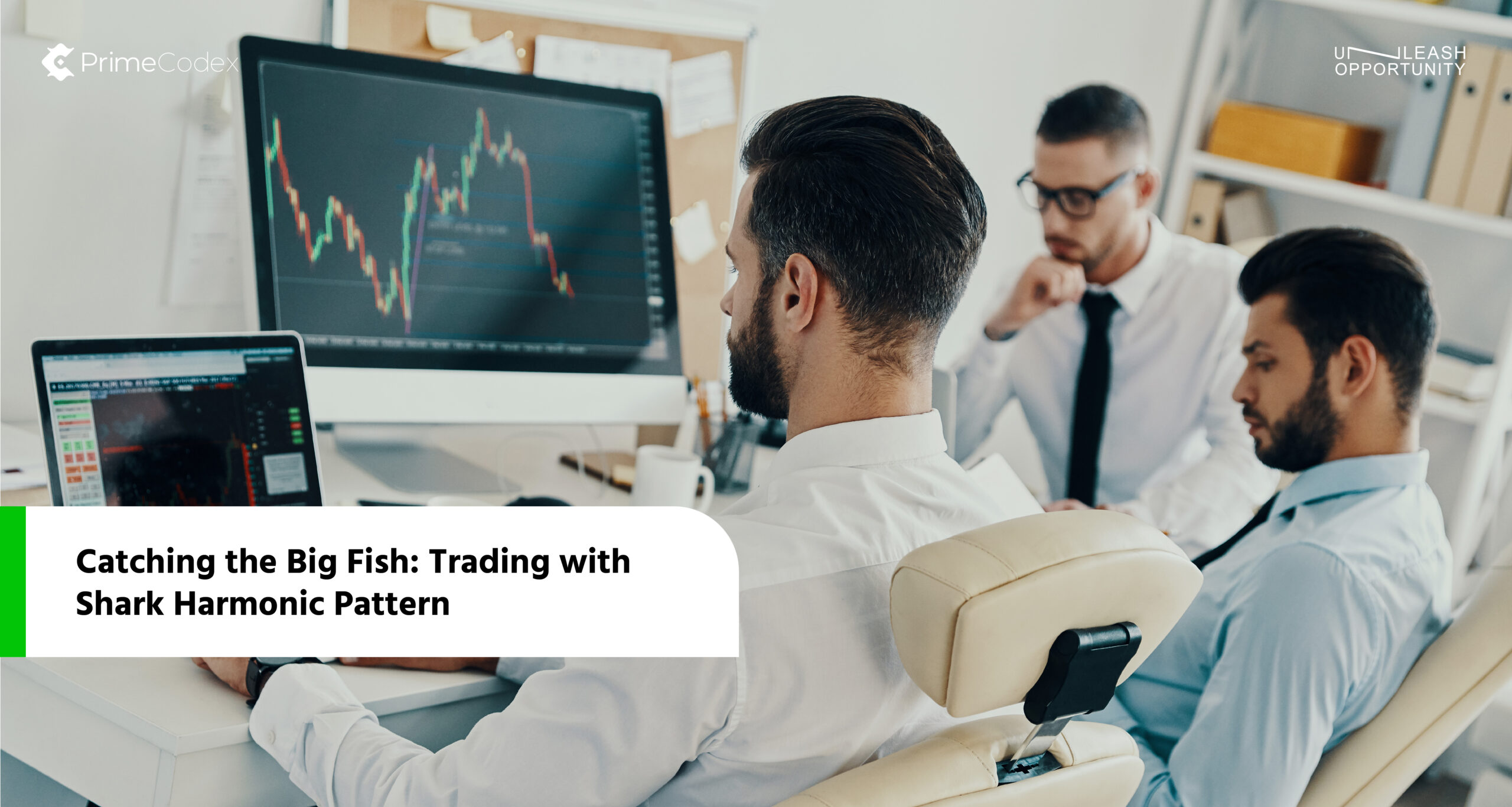 Featured image for Shielding Your Prime Investment from Market Shifts? Strategies.
