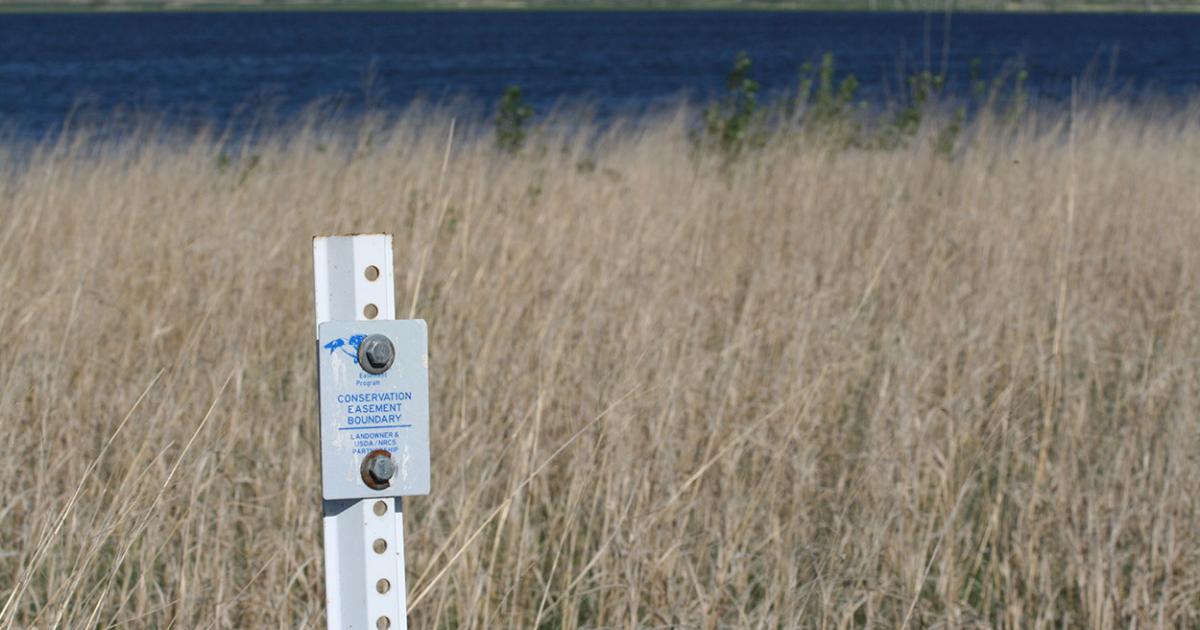 Featured image for Understanding Conservation Easements for Large Estates.