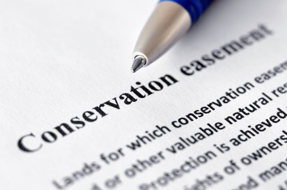 Content image for Understanding Conservation Easements for Large Estates.