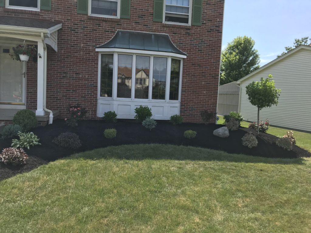 Content image for Landscaping Issues in New Developments? Establishing Your Green Space.