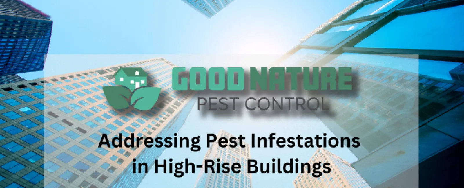 Featured image for Addressing Pest Infestations in High-Value Properties.