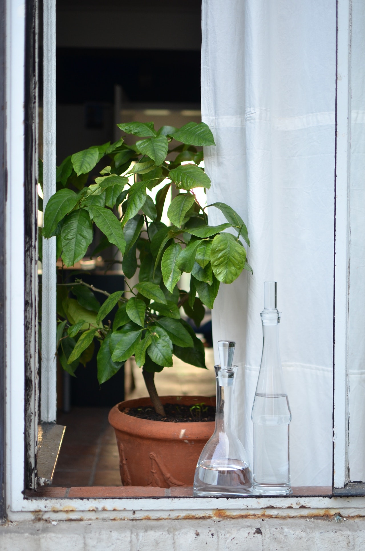 Featured image for Dealing with Property Damage Beyond Normal Wear and Tear.