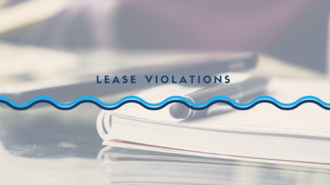 Content image for Enforcing Lease Terms and Addressing Violations Promptly.